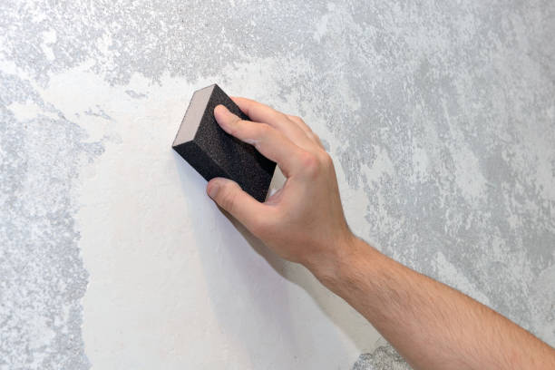 Best Emergency Mold Remediation  in Seminole, FL