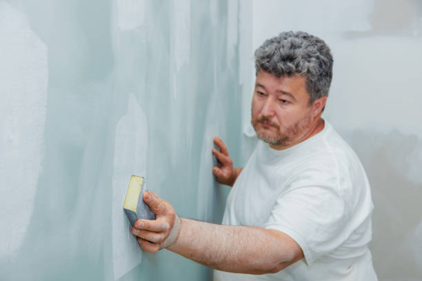 Best Real Estate Mold Inspection  in Seminole, FL