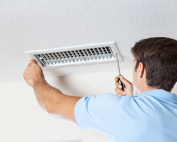 Best Environmental Consulting for Mold Prevention  in Seminole, FL