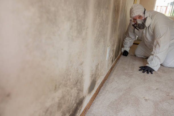 Best Post-Remediation Verification Testing  in Seminole, FL
